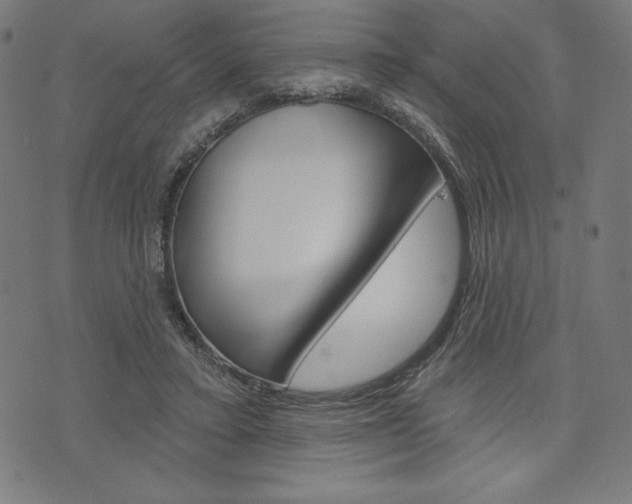 X0000073970403200608210948