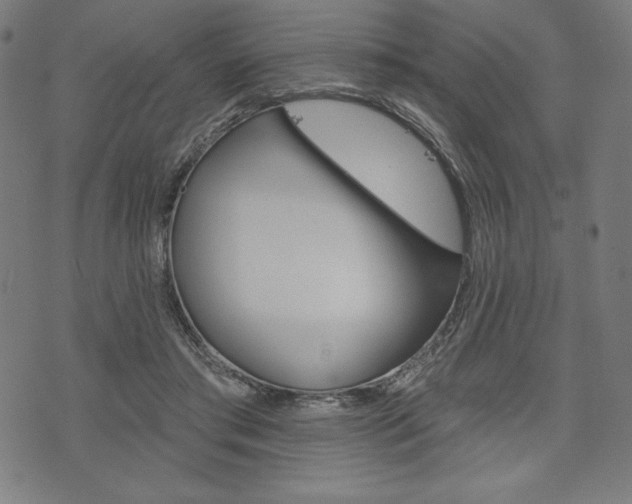 X0000073970405200608210948
