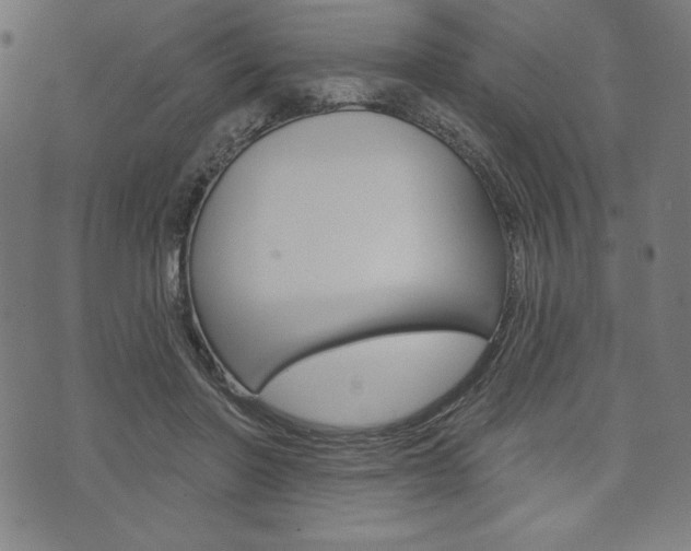 X0000073970406200608210948