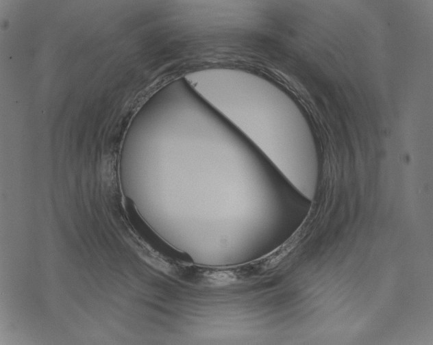 X0000073970409200608210948