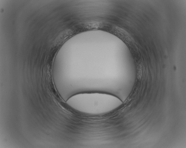 X0000073970414200608210948