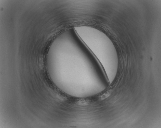 X0000073970416200608210948