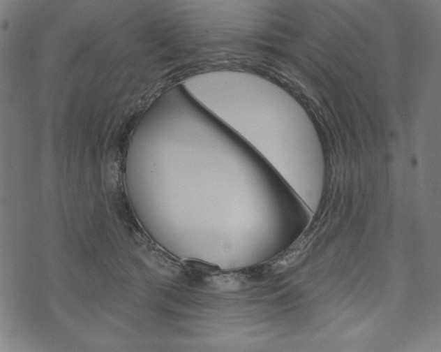 X0000073970417200608210948