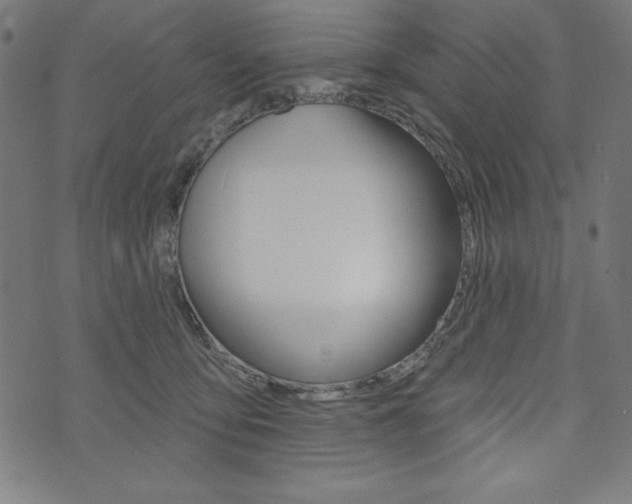 X0000073970419200608210948
