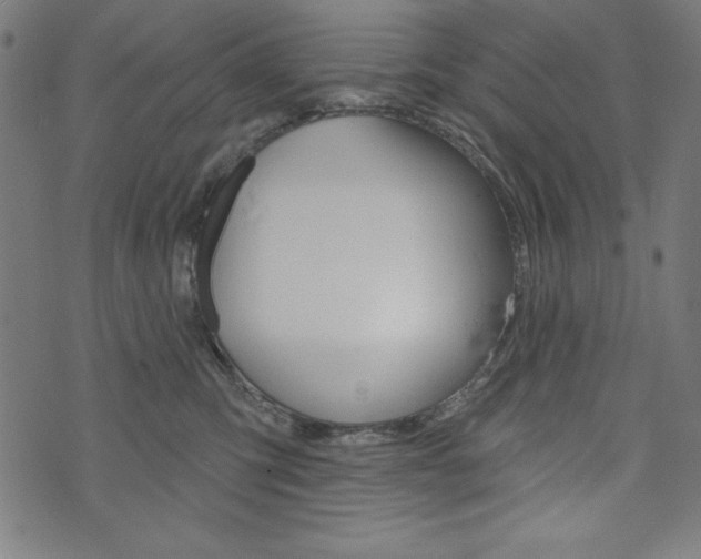 X0000073970423200608210948