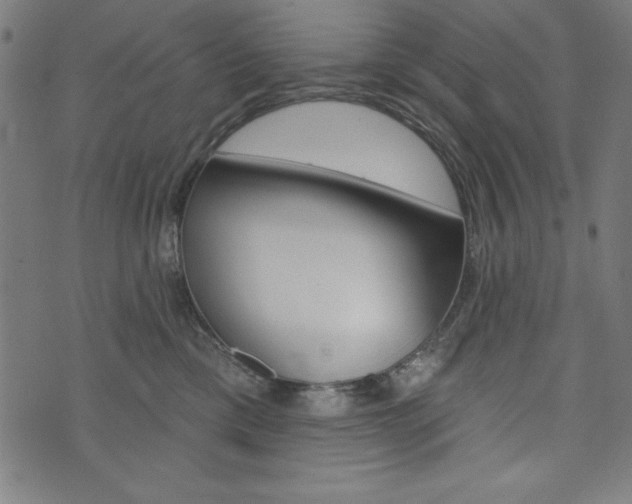 X0000073970425200608210948