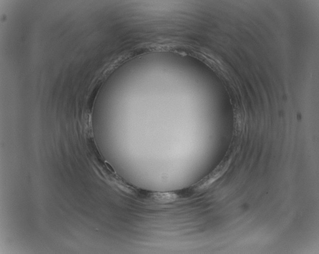 X0000073970429200608210948