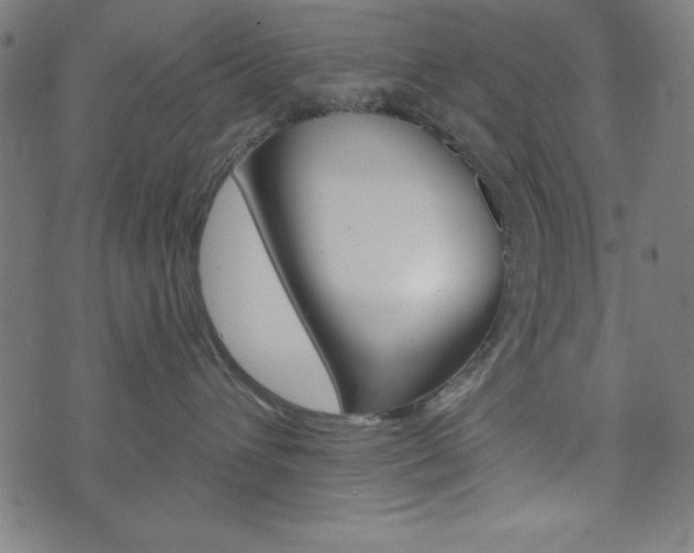 X0000073970432200608210948