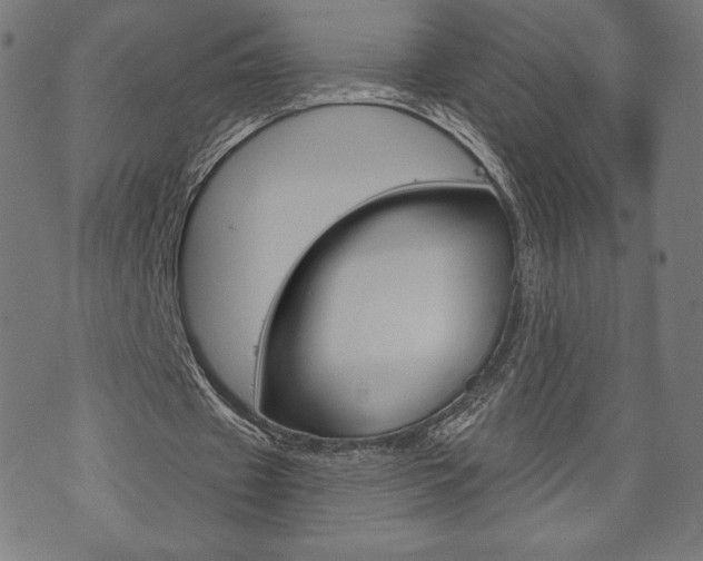 X0000073970433200608210947