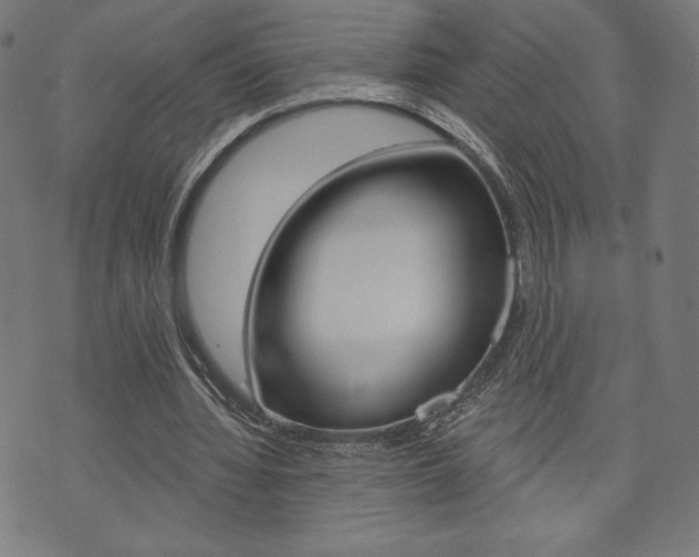 X0000073970436200608210947
