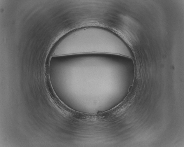 X0000073970439200608210947
