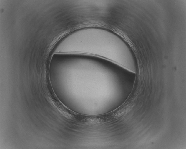 X0000073970442200608210947