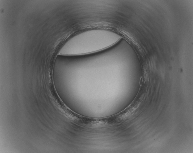 X0000073970453200608210947
