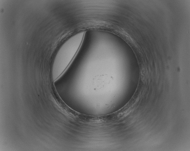 X0000073970454200608210947