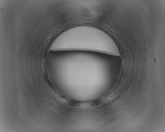 X0000073970462200608210948