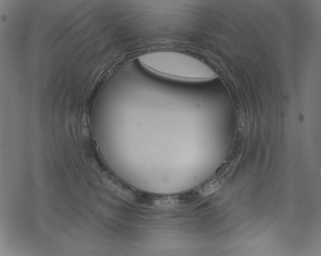 X0000073970470200608210948