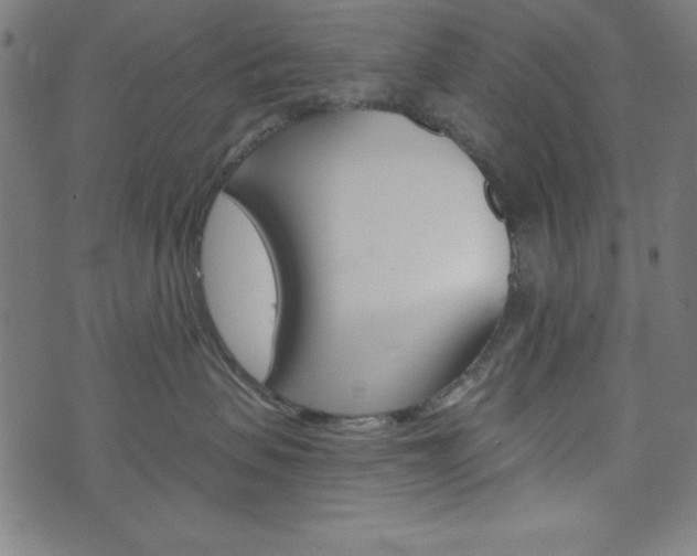 X0000073970479200608210948