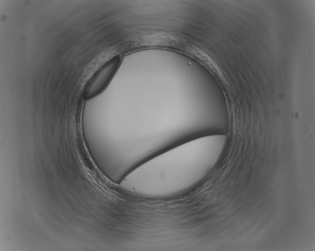 X0000073970482200608210947