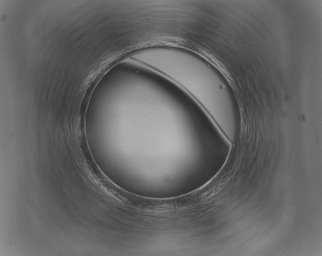 X0000073970485200608210947
