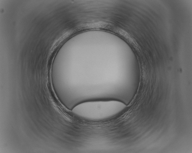 X0000073970486200608210947