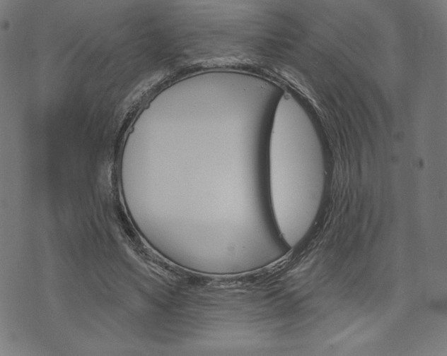 X0000073970491200608210947