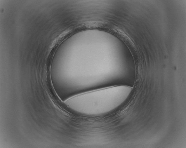 X0000073970492200608210947