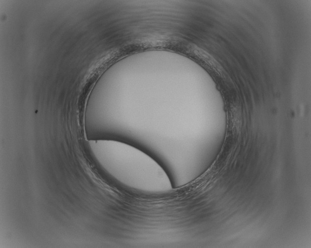 X0000073970494200608210947