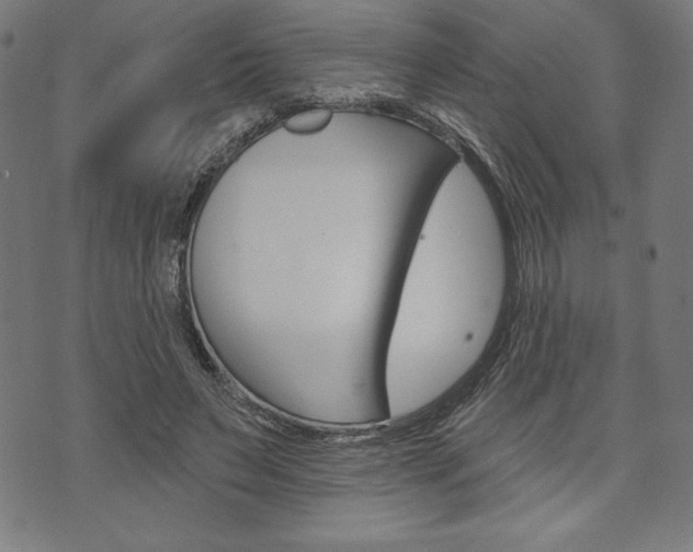 X0000073970495200608210947