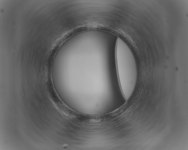 X0000073970496200608210947