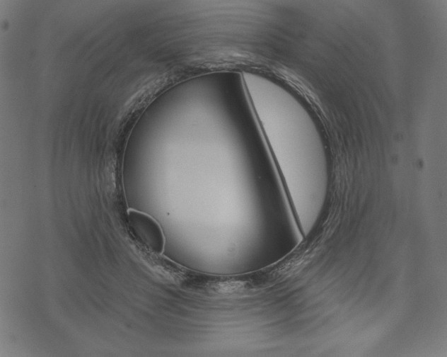 X0000073970501200608210947
