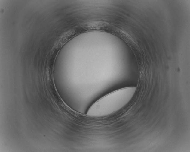X0000073970504200608210947
