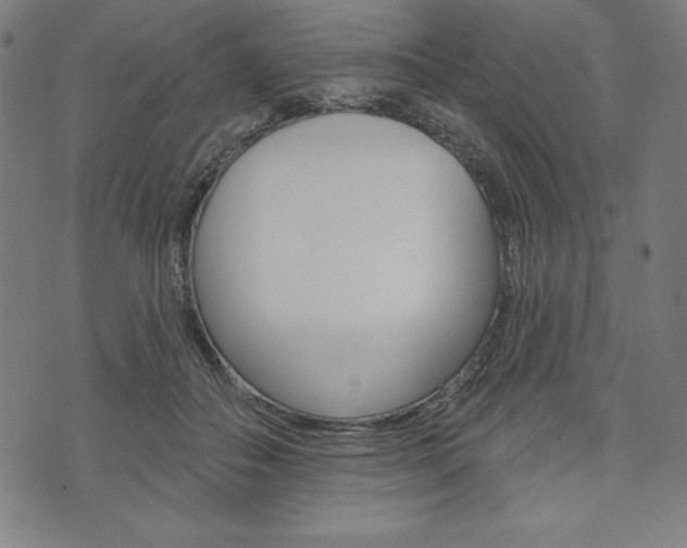 X0000073970506200608210947