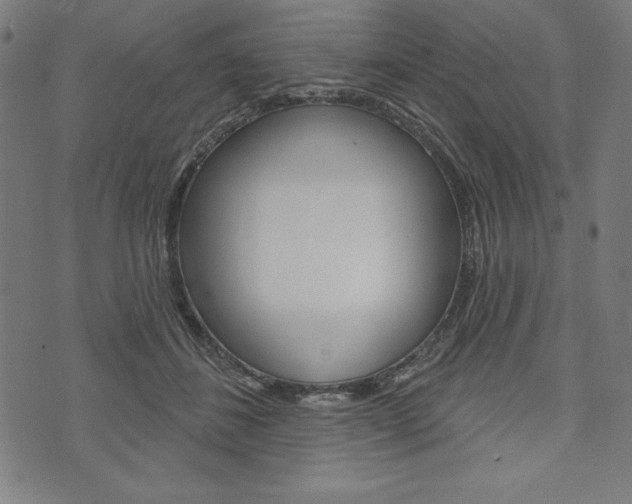 X0000073970508200608210947