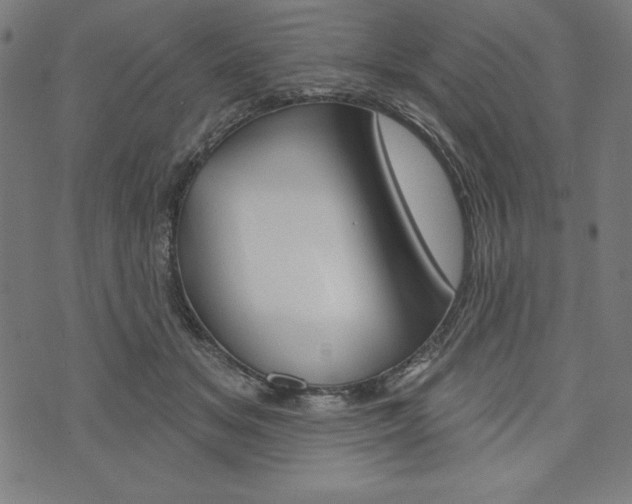 X0000073970509200608210947