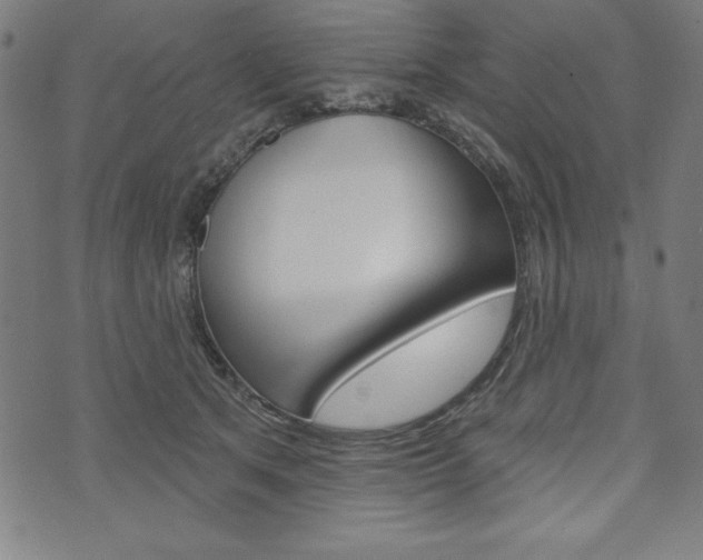 X0000073970513200608210947
