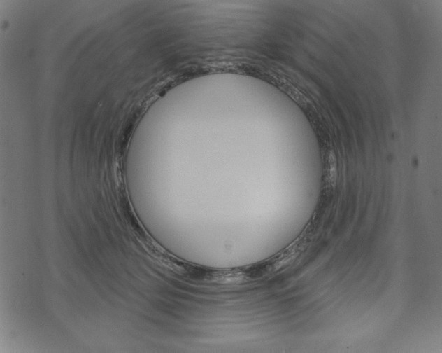 X0000073970514200608210947
