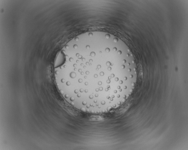 X0000073970519200608210947