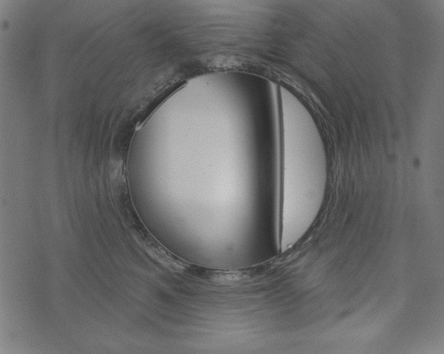 X0000073970521200608210946
