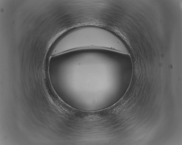 X0000073970536200608210946