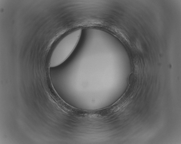 X0000073970539200608210946