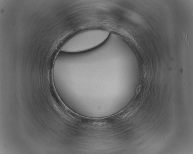 X0000073970542200608210946