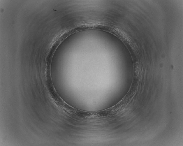 X0000073970544200608210946