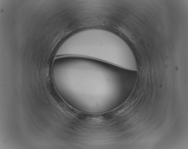 X0000073970548200608210946