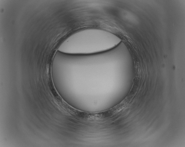 X0000073970550200608210946