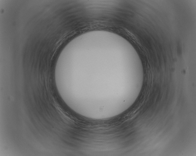 X0000073970552200608210946