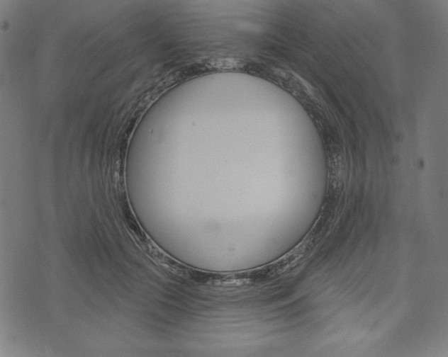 X0000073970553200608210946