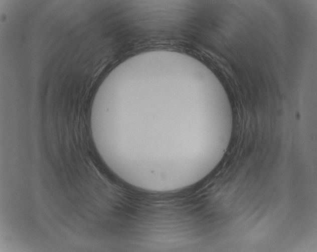 X0000073970560200608210946