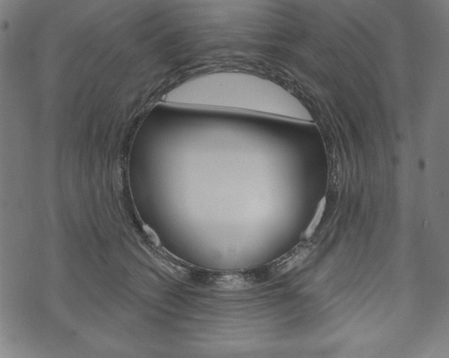 X0000073970562200608210946