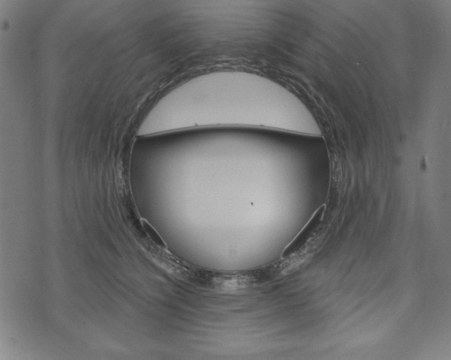X0000073970564200608210946