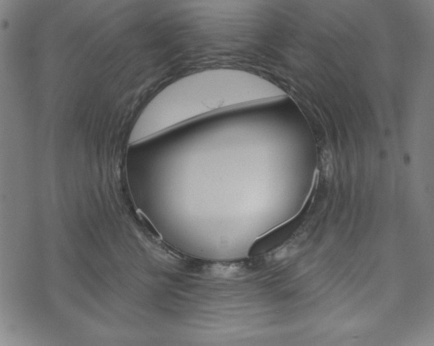 X0000073970570200608210946